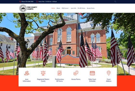New Pike County Courts Website